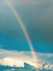 [단나더] Rainbow Bridge