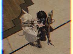 초코보 섭 스타팅