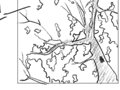 나의 최선의 방법은