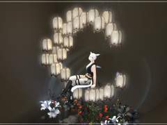 여콧 고정커마 일 때 찍은 것들