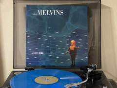 Melvins - a senile animal
