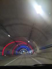 [보아x태연]충성