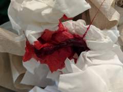 윤경아 왜 너는 말투가 그래