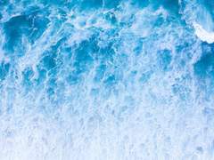 그 겨울 바다는