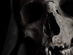 삶과 죽음의 경계, 어둠의 인도자