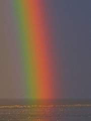 레인보우
