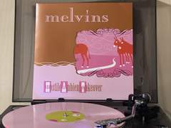 Melvins - hostile ambient takeover