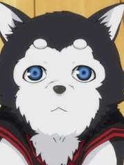 쿠로코의농구 드림