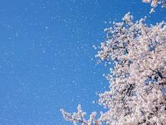 습득물이 접수되었습니다 外 part.1