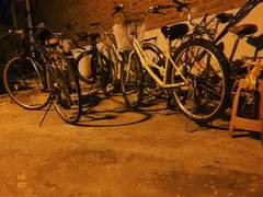 [칼럼] 꽃님씨의 복수