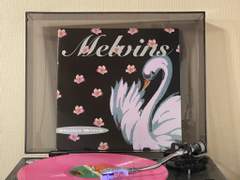 Melvins - stoner witch