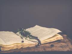 죄인은 재로, 선인은 빛나는 곳으로