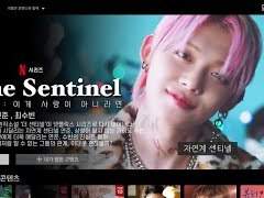 The Sentinel : 이게 사랑이 아니라면