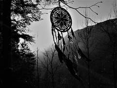 Dream catcher