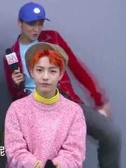 해피야! 초코야?