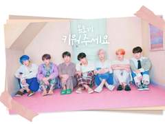 [방탄 이성] 봄토끼, 키워주세요 :: 18