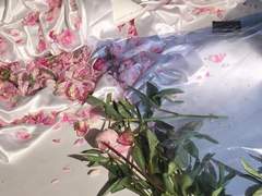 다정이 나를 上