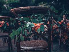 [봄비] 춘우 - 시루