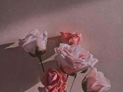 공간을 재구성합니다 (상)