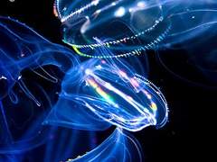 해독제가 필요해!