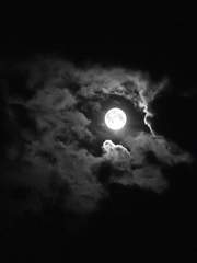 연월 아래에서 바라보는 그대