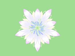 [마들에슾] 흑종초