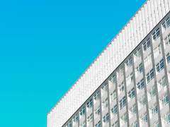 문제아 길들이기 2부.