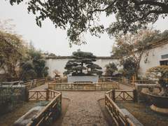 罢了当日花台前乱红飞溅