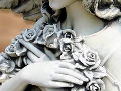 모든 생명에게 주어진 처음이자 마지막 선행