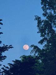 데네브, 알타이르, 베가