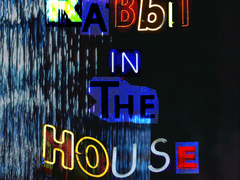 래빗 인 더 하우스: caution!