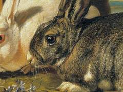 우사미 사쿠야 | 여 | 2학년 | UNKNOWN | 오컬트부 | 학생부회장 | +2차