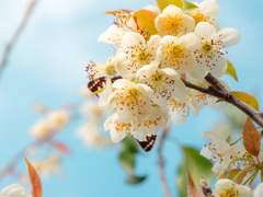 ｜최하나 : 프로필