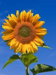 성범죄를 직접 당한 여자가 쓰는 정보글