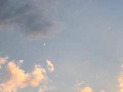 우리에게 소설 속 해피엔딩은 존재하지 않는 건가요?