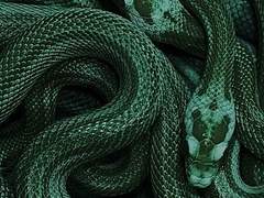 Salvatore.R. Sylvestain