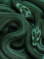 Salvatore Sylvestain