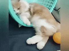 127막내 김여주 모먼트 EP.19