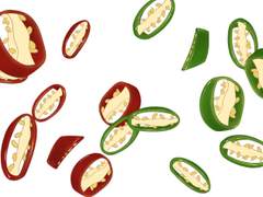 [클립스튜디오 브러시] 고추 브러시