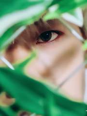 화요일의 앨리스