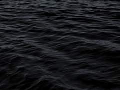 비는 결국 너마저 삼키고서