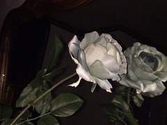 개화 : 그 후의 이야기 (1)