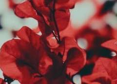 만약 신이 있다면