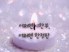 다시 만나게 되었습니다.