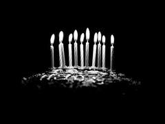 없이 보내는 날