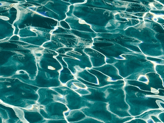 파도가 전해준 연서