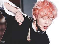 슬리데린 나나 ++