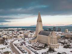 북극여우 관찰일기 22