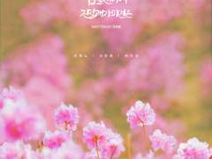 봄철 산야에 진달래가 피면은