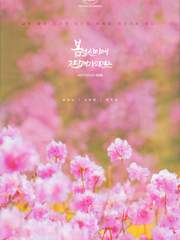 봄철 산야에 진달래가 피면은